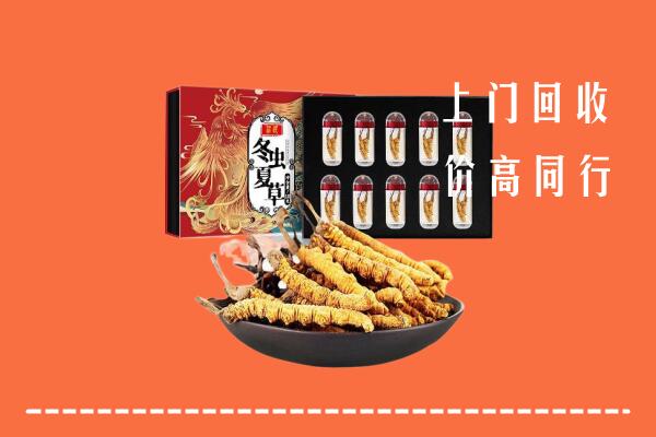高价求购：乐山金口河区回收虫草